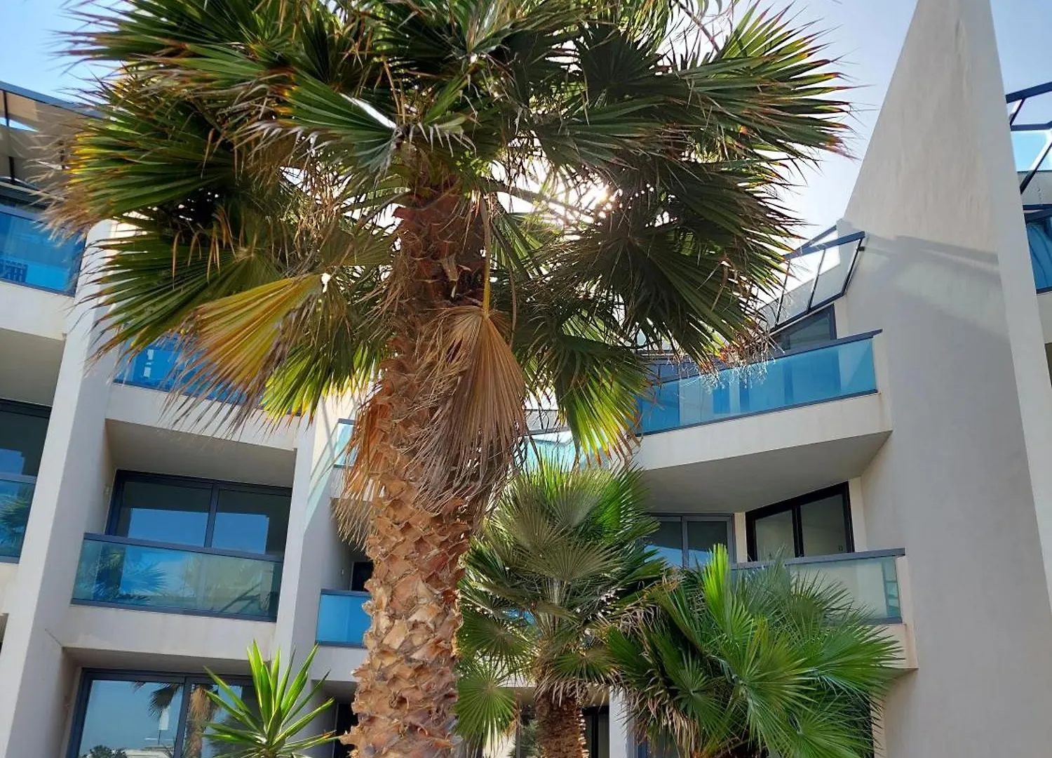 Apartment Sunset Spot Fuerteventura Cotillo Seaviews Premium Spain